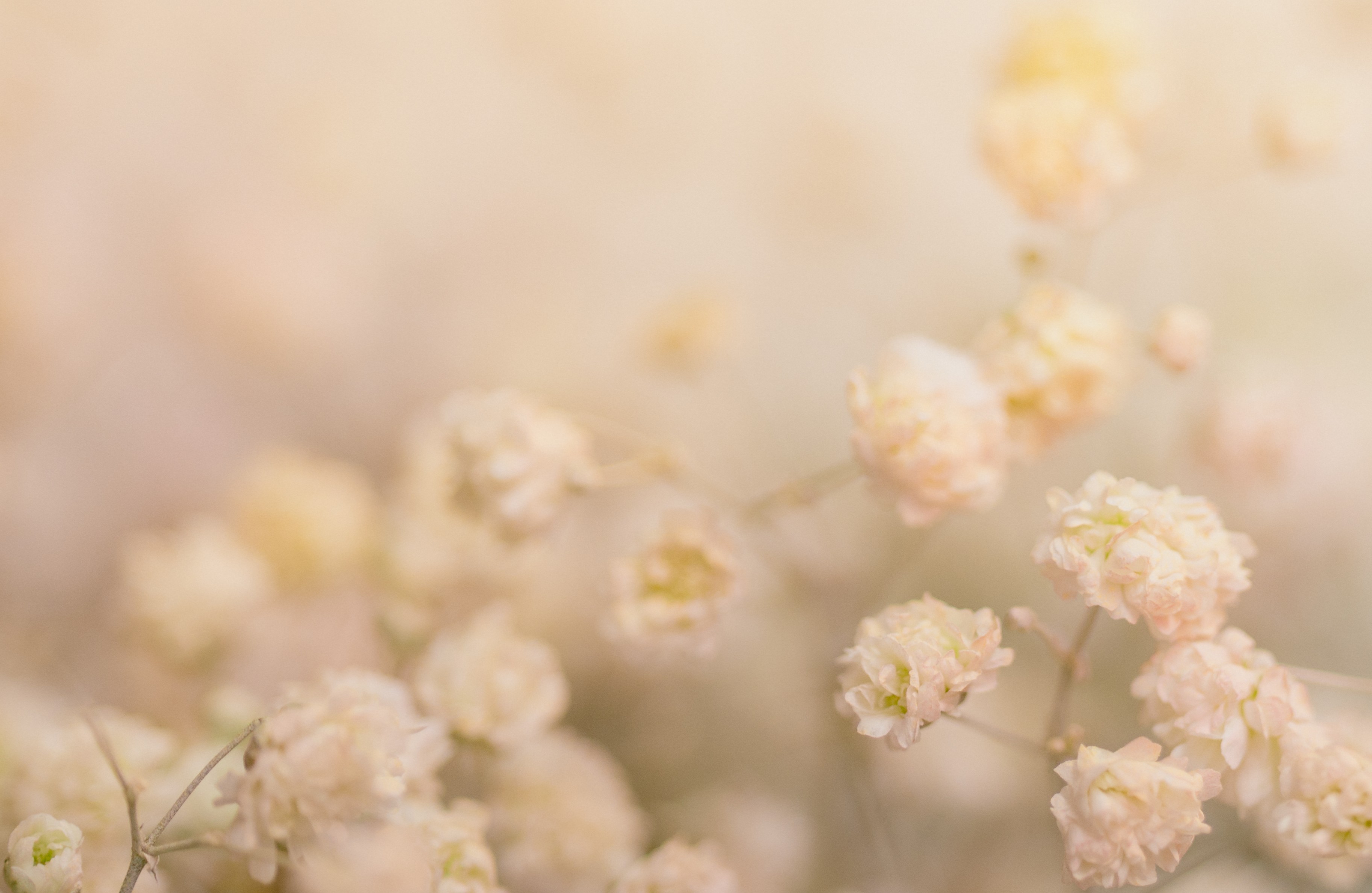 弊社公式サイト公開のご案内